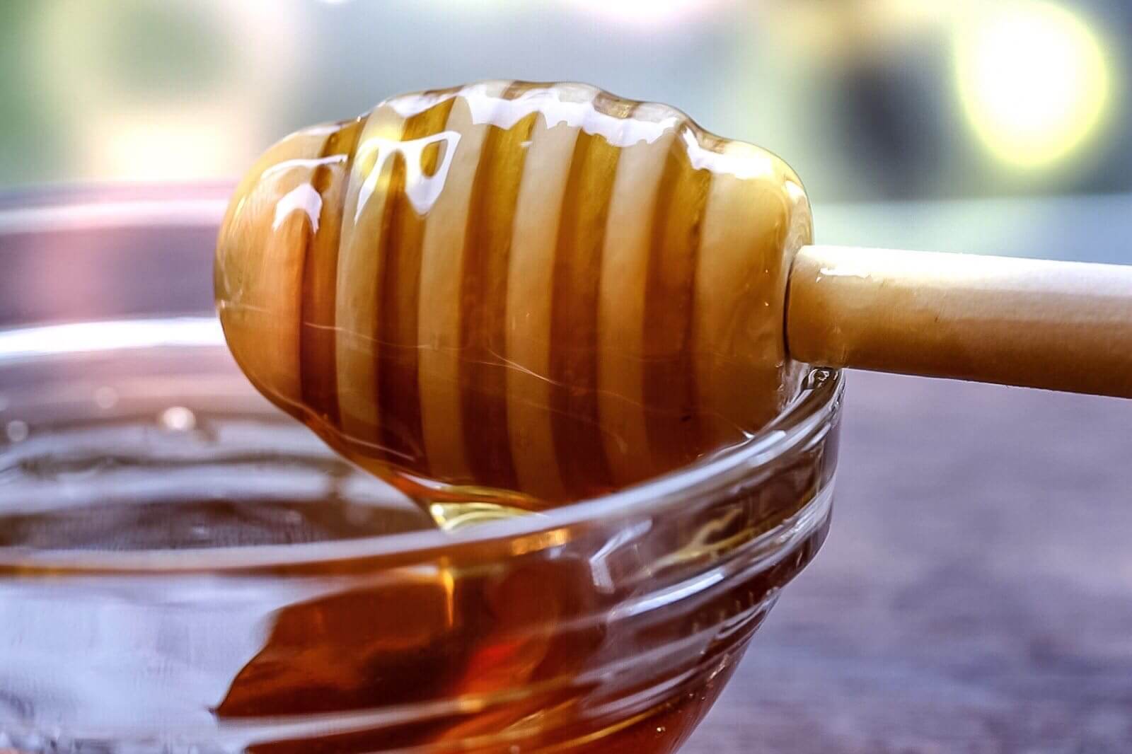 Honey in a bowl at a Florida Harvest Host