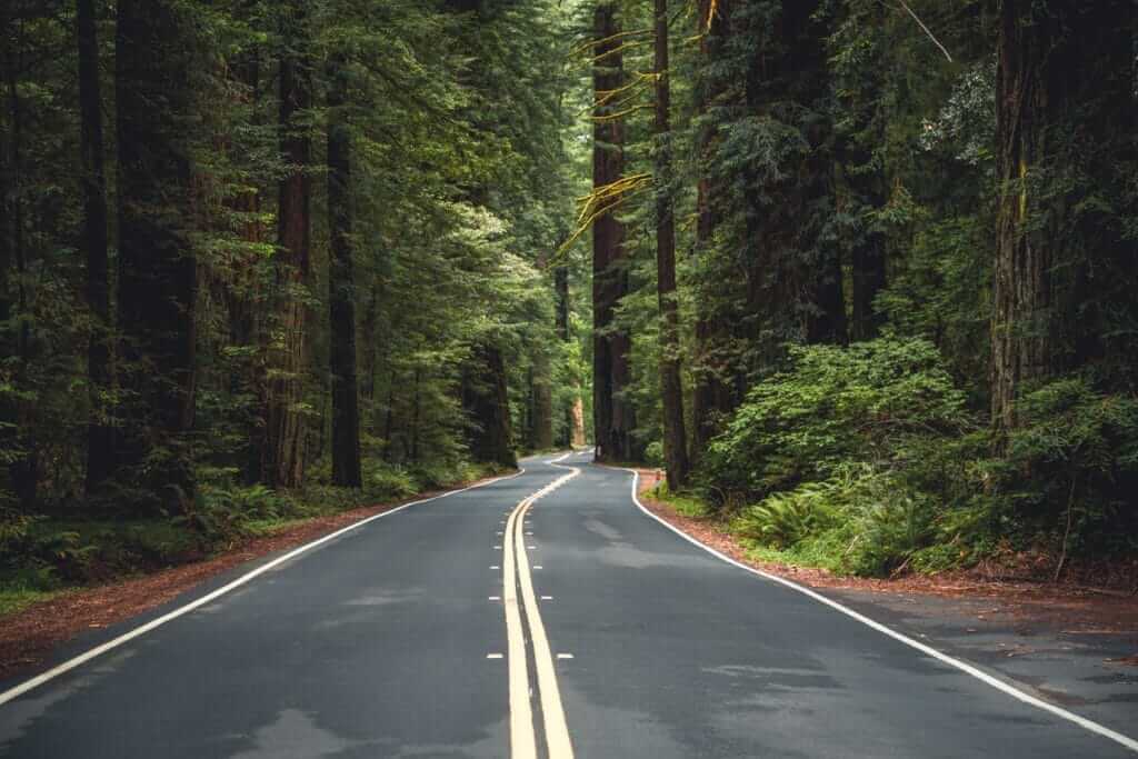 Where To Camp With Your RV in Redwood National Park