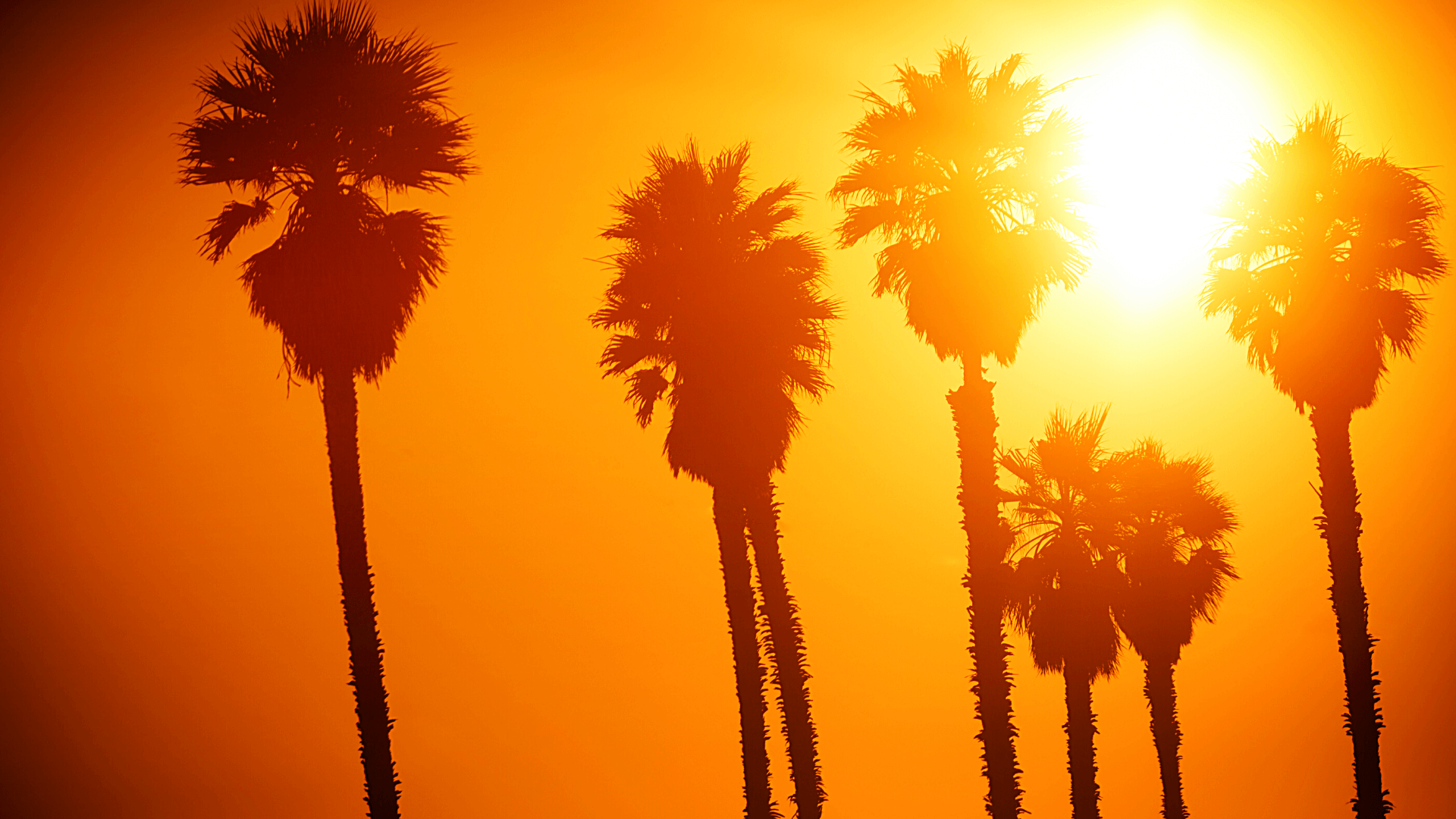 Sunset over California