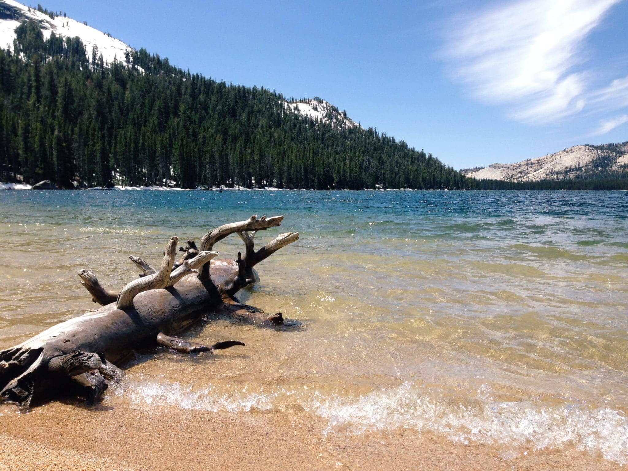 Log in the water of Yosemite Lakes
