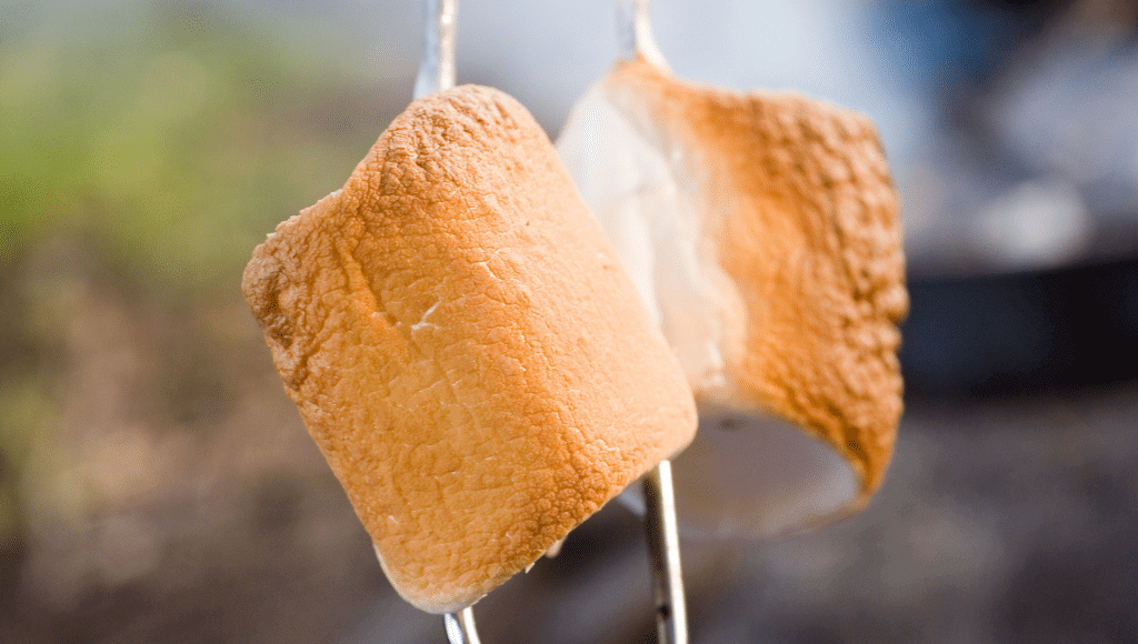 Two marshmallows are on a split  roasting marshamallow stick and are prepared to a golden brown which is the perfect marshamallow.