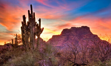 Sun setting in Organ Pipe Cactus National Monument