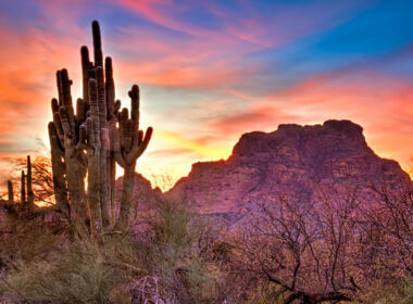 Sun setting in Organ Pipe Cactus National Monument
