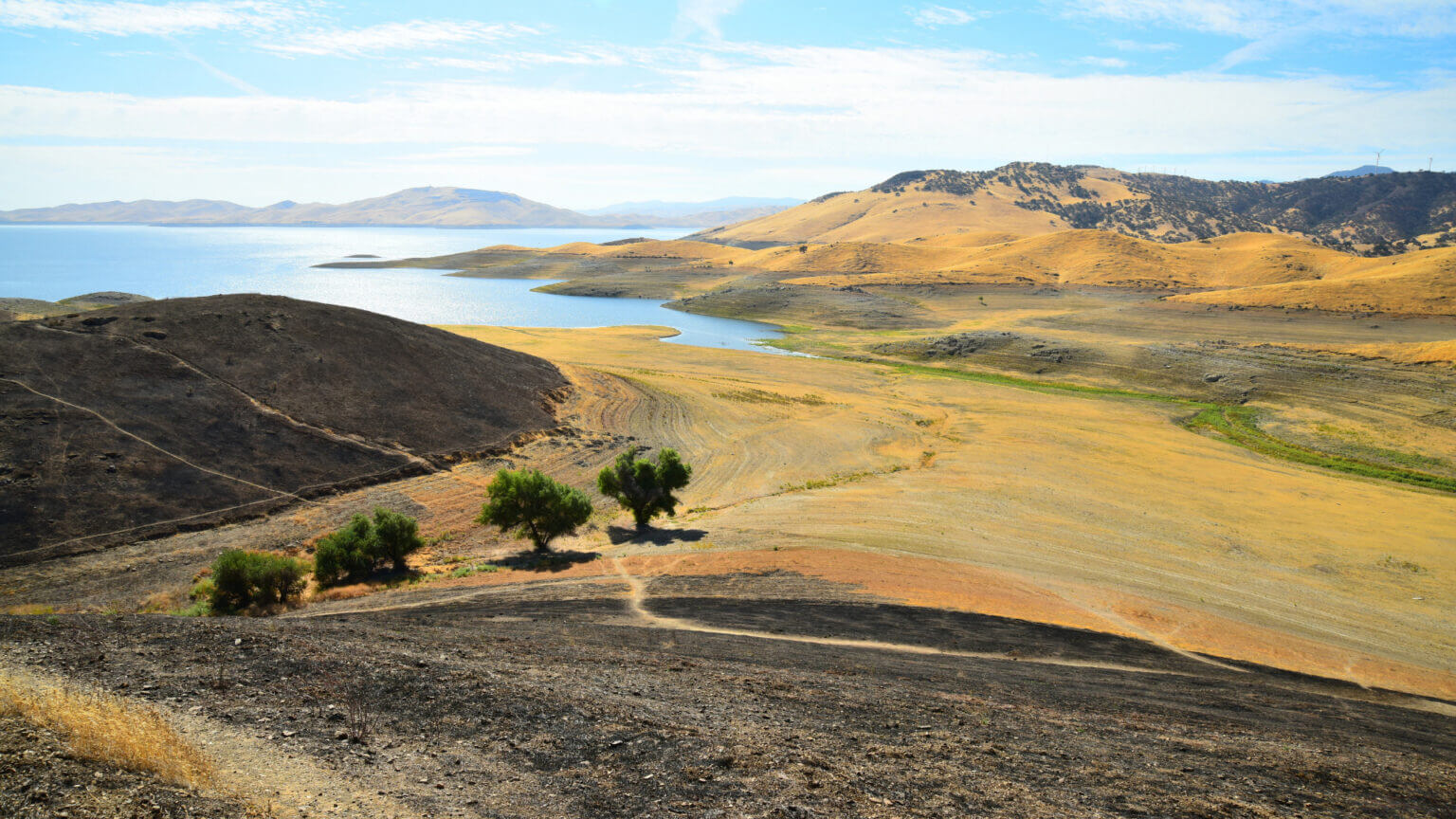 Everything You Need To Know about San Luis Reservoir Camping