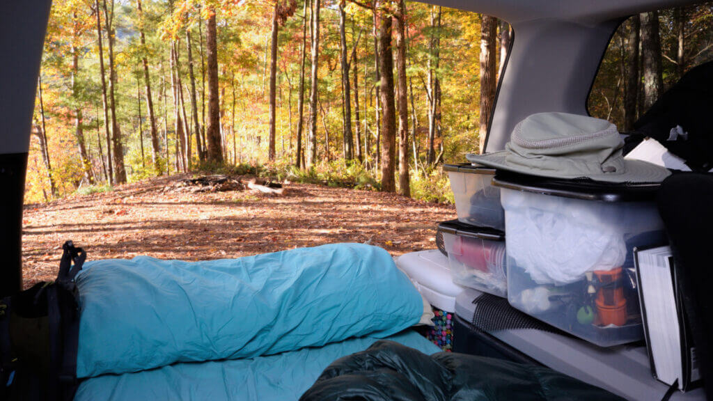 A car camping view - a forest grove was the campsite for the night and the bed and supplies were conveniently set up in the trunk of an SUV. 