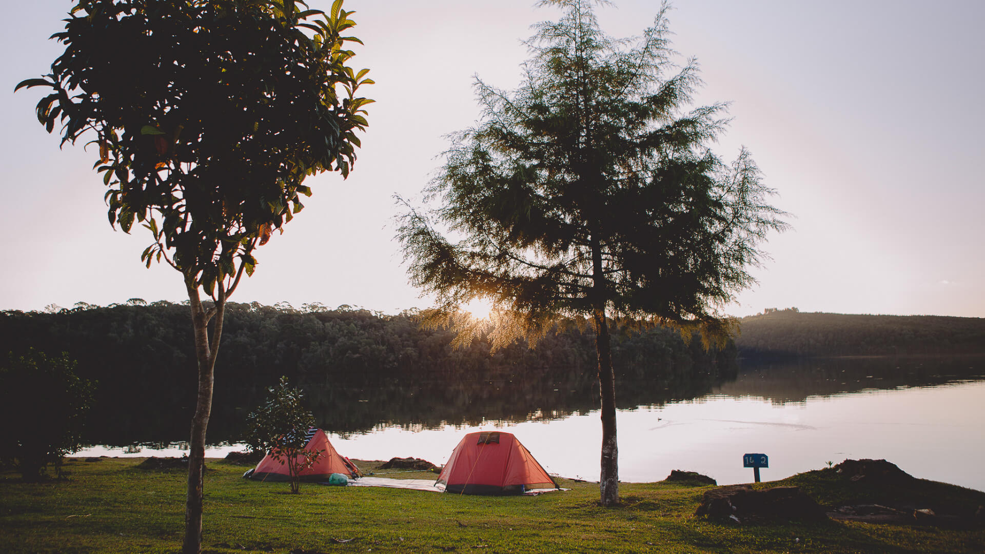 Everything You Need to Know About Lake Somerville Camping