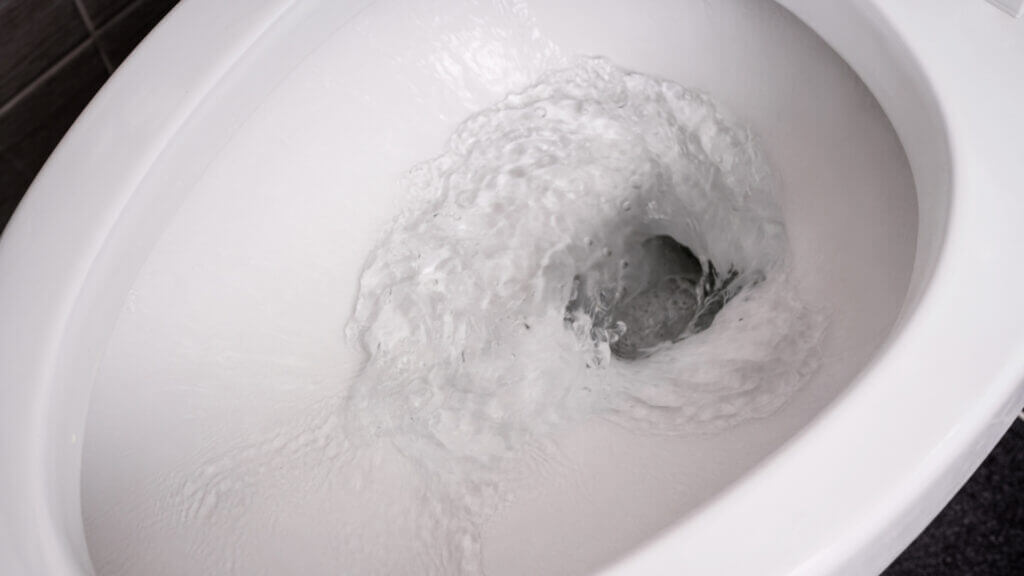 An RV toilet bowl is full of lots of water to help maintain tank health.