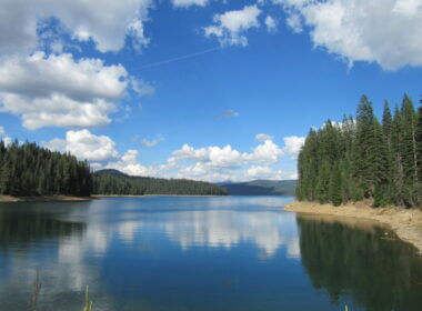 Sugar Pine Reservoir with trees surrounding it and blue skies with clouds
