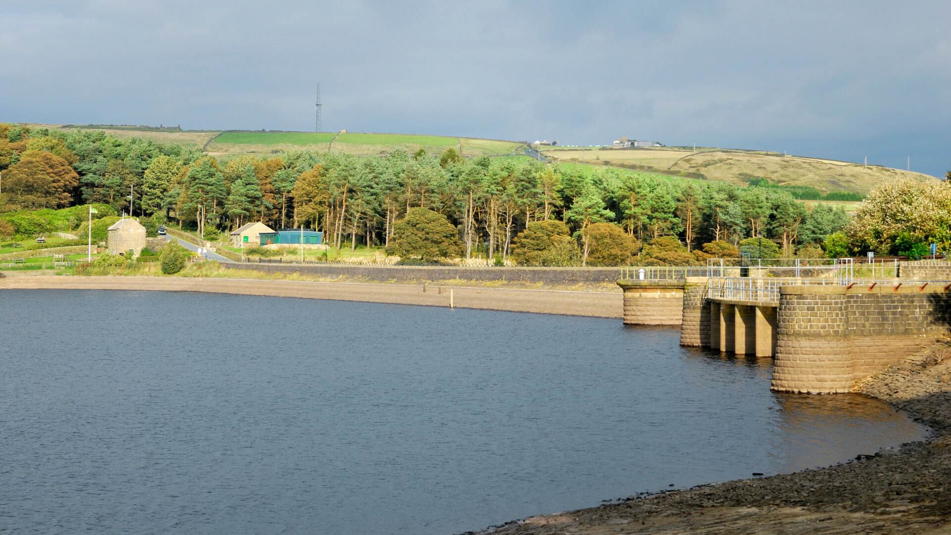 are dogs allowed at causey reservoir