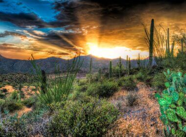 beautiful arizona sunset over a mountain range with cactus