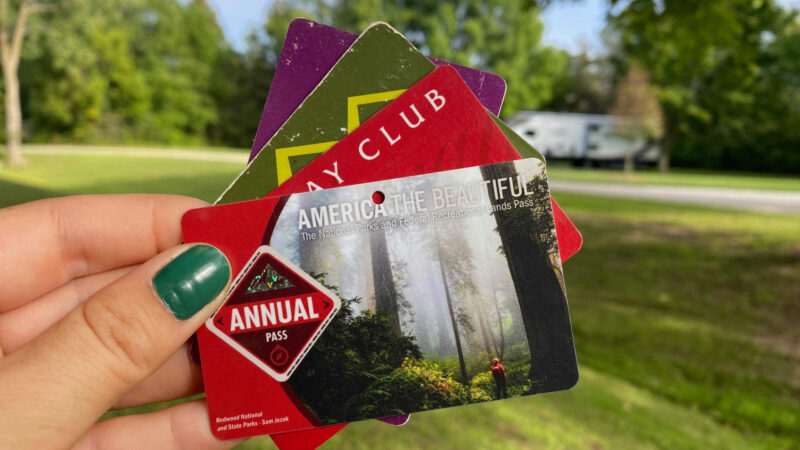 RV membership cards held up against a grass lawn.