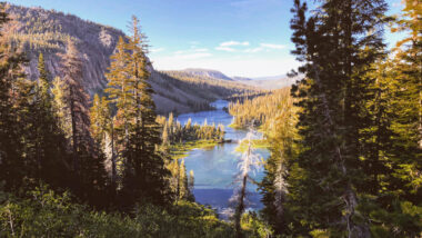 Big Bear Lake shines through the trees in the California mountains.