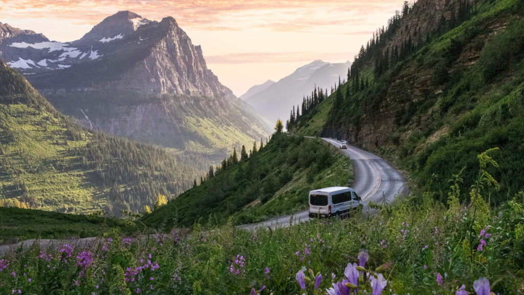 A camper van drives along the road in Glacier National Park with the sun gleaming off the rocky mountain faces and purple wildflowers in bloom.
