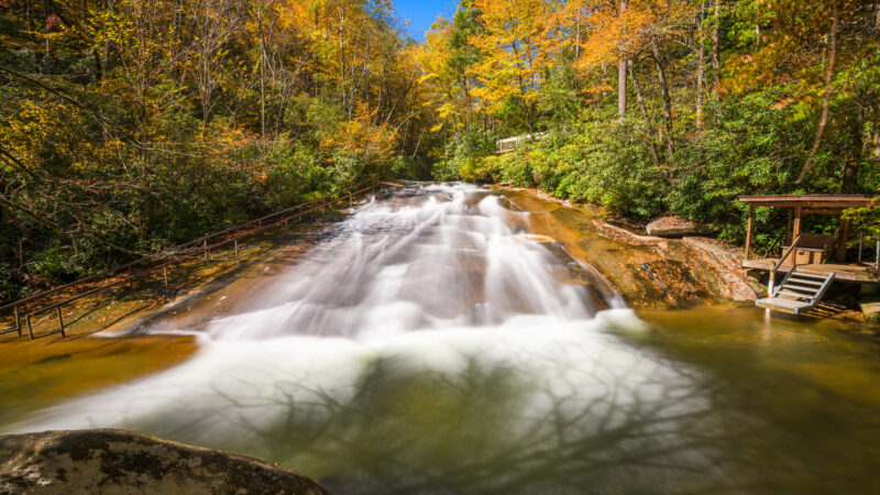 Pisgah National Forest is a gorgeous place to visit in the fall in North Carolina.
