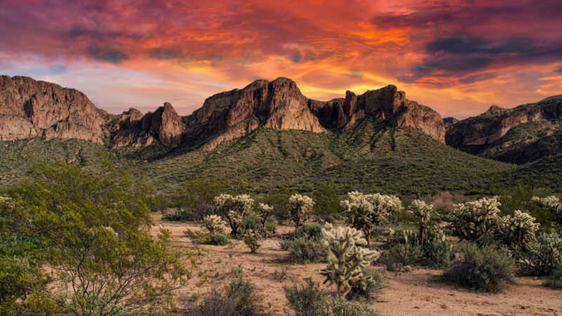 Things To Do In Tonto National Forest Getaway Couple   Tonto National Forest 1 800x450 