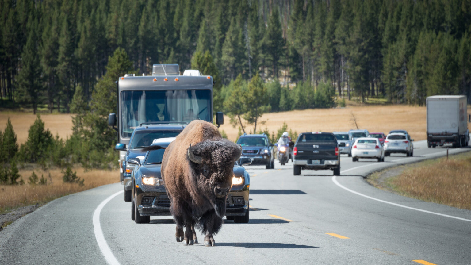 rv trip yellowstone