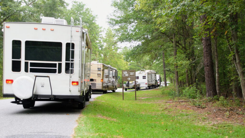 A line of RVs forms at a wooded campground as each waits to turn right.