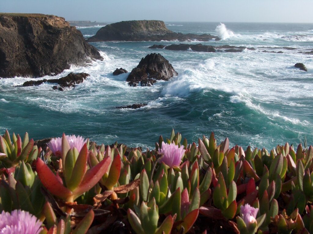 Waves crashing along cliffs at the coast of Mendocino in California.
