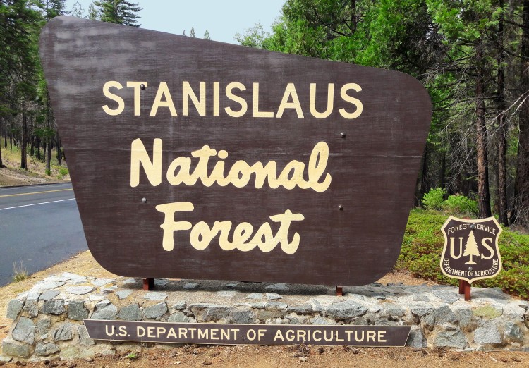 Brown and yellow entry road sign for Stanislaus National Forest in California.