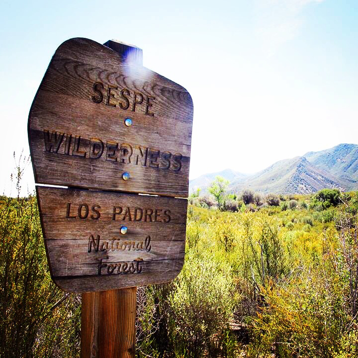 Wooden sign announcing Los Padres National Forest with a sun flare and mountains in the distance