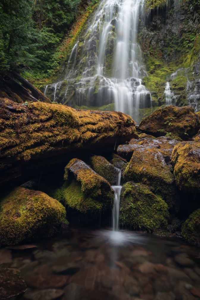 A waterfall streams over rocks covered in green lush moss in the Willamette National Forest, Oregon