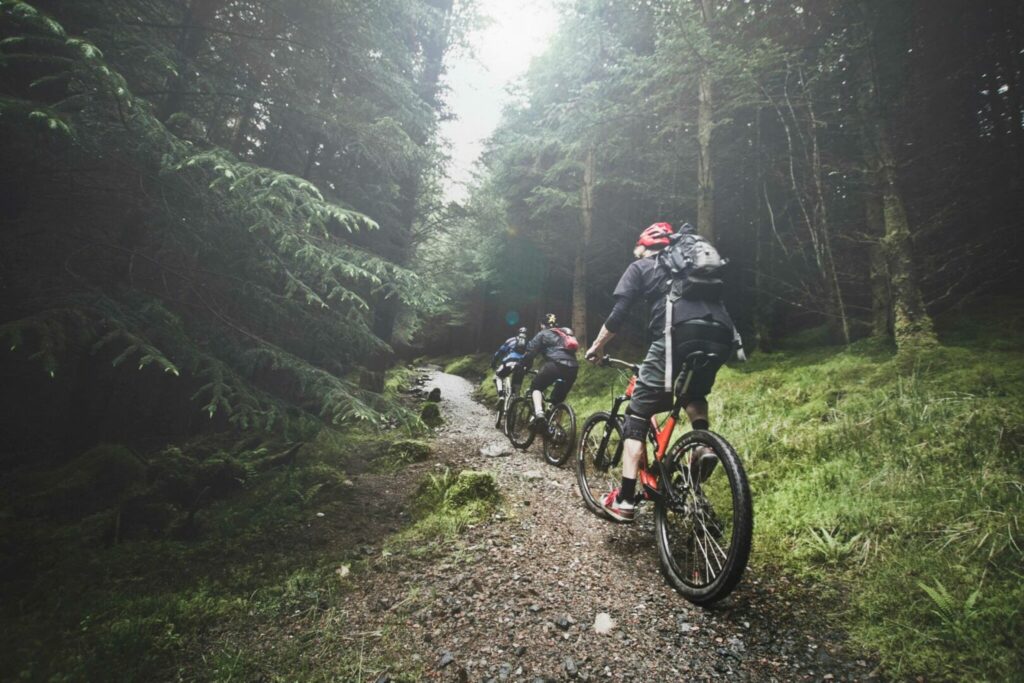 Three mountain bikers traverse down a wooded trail.
