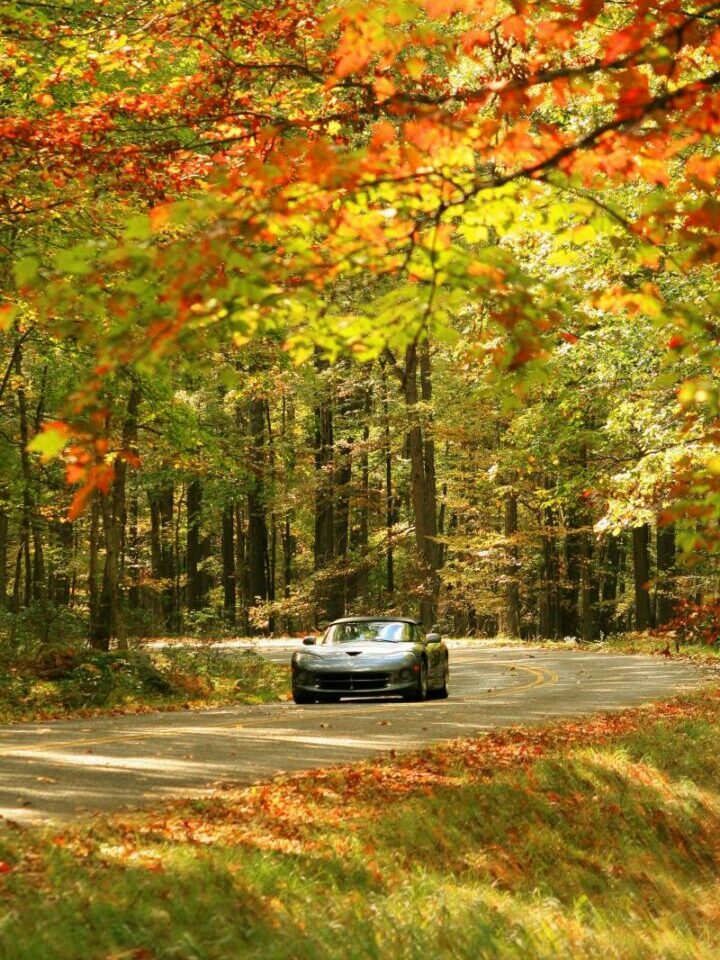 A sports car driver down a curvy paved road during fall in Allegheny National Forest, Pennsylvania