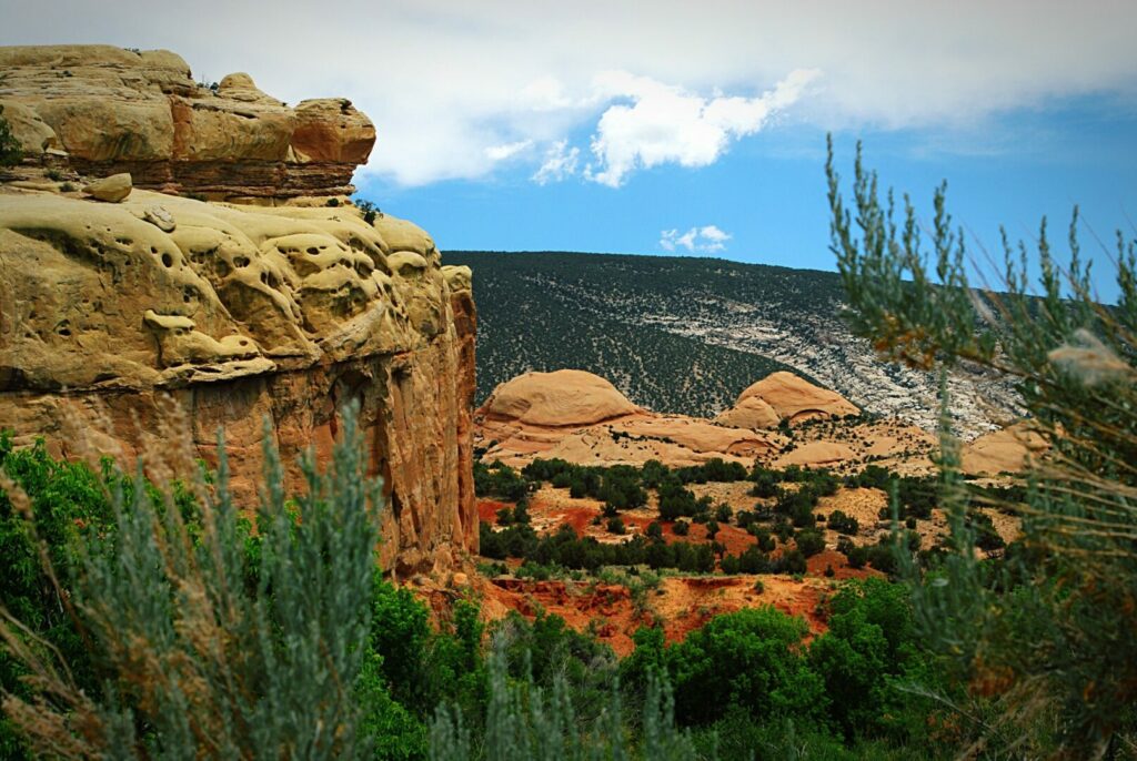Red rocks and green foliage cover the landscape around Dinosaur National Monument, Utah