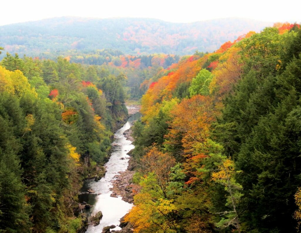 A river runs through the forest from a hiker's vantage point over a fall forest in New England.