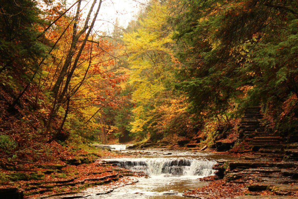 Fall in New York State Park with waterfall.