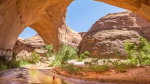 10 Southwestern National Monuments You Need to Visit at Least Once