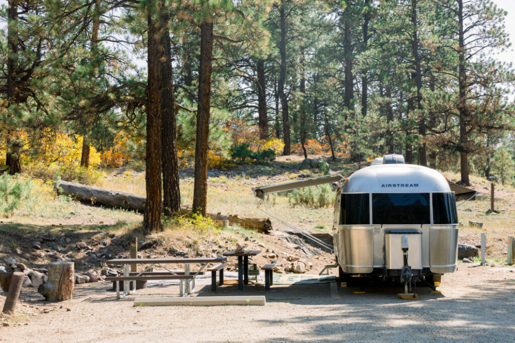 A travel trailer in a gravel campsite surrounded by pine trees.