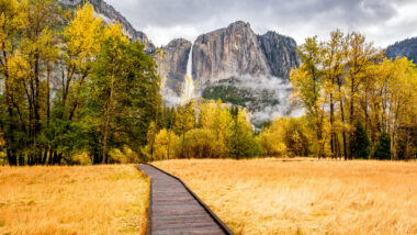 A golden fall day in Yosemite with a path leading the to the view of Yosemite Falls.