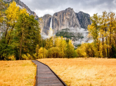 A golden fall day in Yosemite with a path leading the to the view of Yosemite Falls.