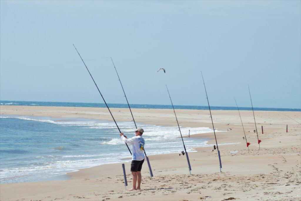 A fisherman on Hatteras Island surf fishing with multiple poles lined up next to him along the shore.
