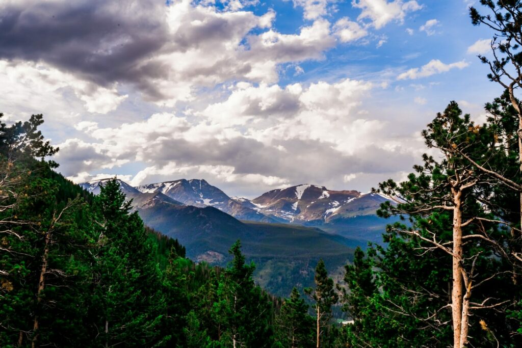 The pines open up to a spectacular view of snowy mountains in Rocky Mountain National Park