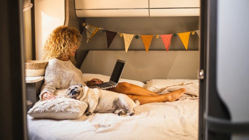 A woman relaxes on the bed in her camper van with her dog and computer.