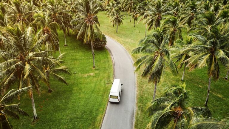 High angle view of a small camper driving through a tropical landscape