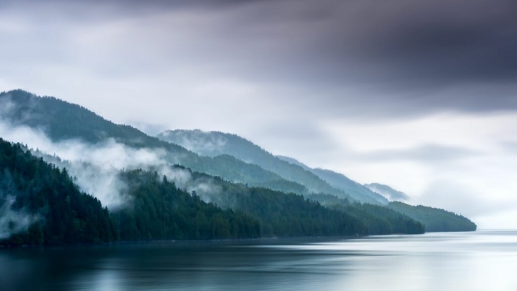 Mist floats through the trees down to the fjord in Alaska