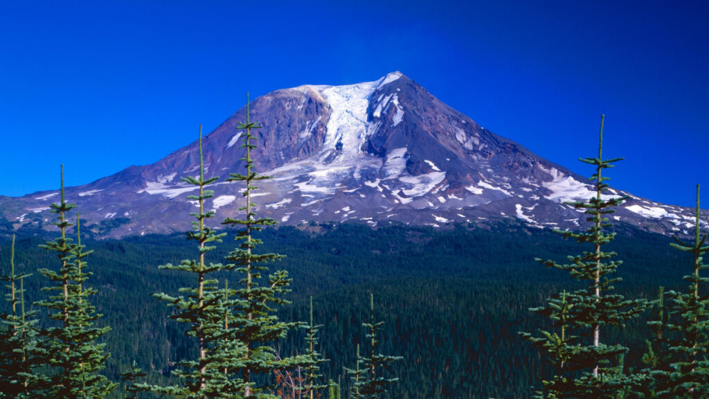 Mount Adams glows on a sunny blue sky day in the Gifford Pinchot National Forest in Washington.