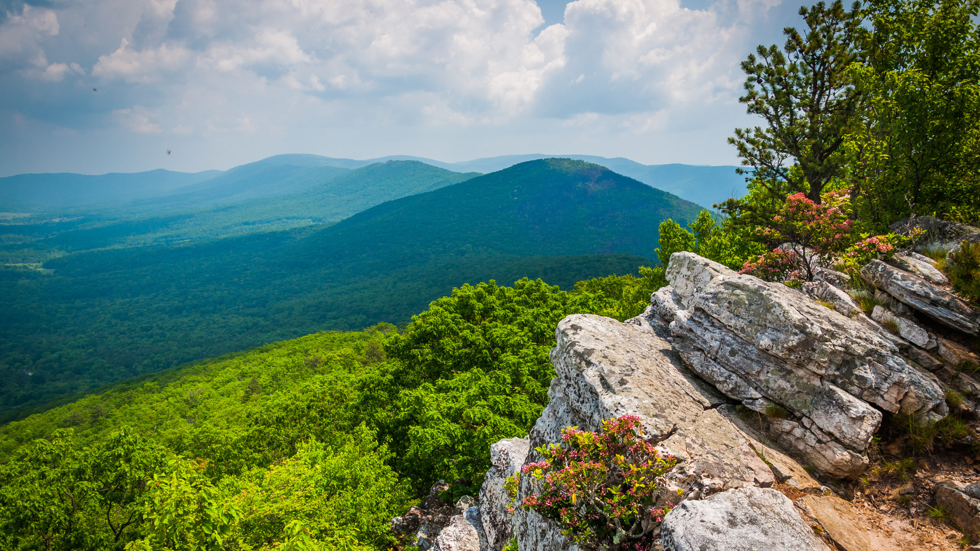 These National Forests Are Better Than Most National Parks