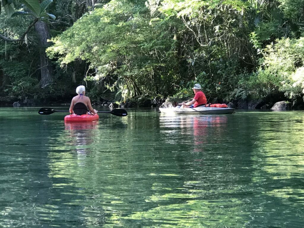 Husband and wife kayaking in Florida