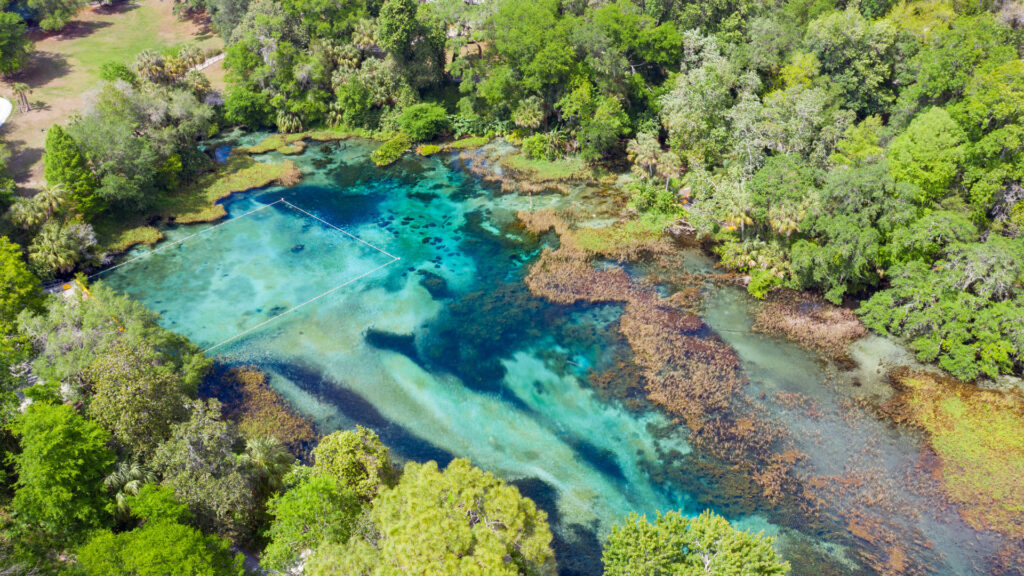 A drone shot of Rainbow Springs from above showing the clear blue water and green lush trees. 