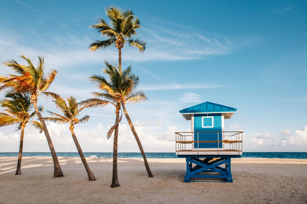 A quiet Florida beach with palms swaying in the wind and a blue lifeguard house.