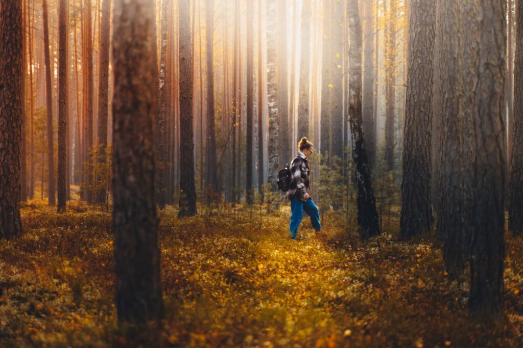 A woman hiking through the forest as the sun filters through the tree canopy above.