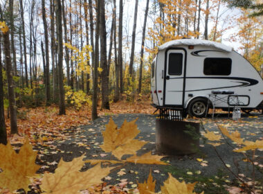 Small travel trailer parked in the woods with falling yellow leaves.
