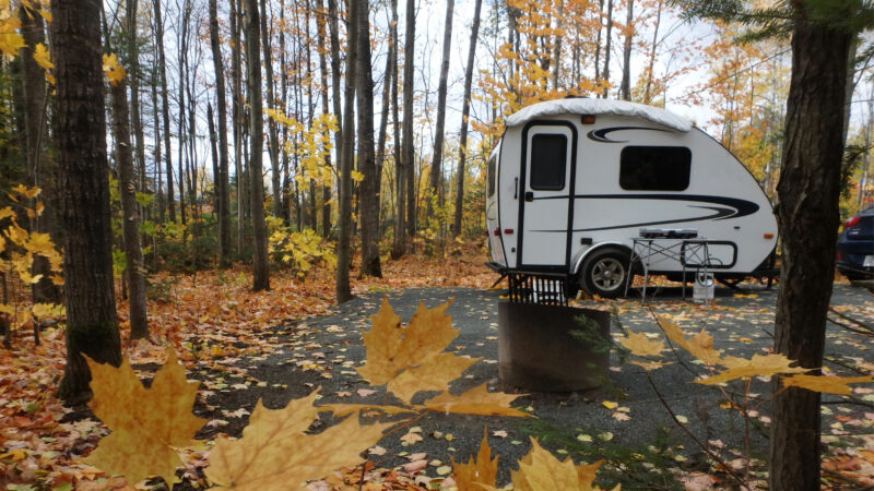 Small travel trailer parked in the woods with falling yellow leaves.
