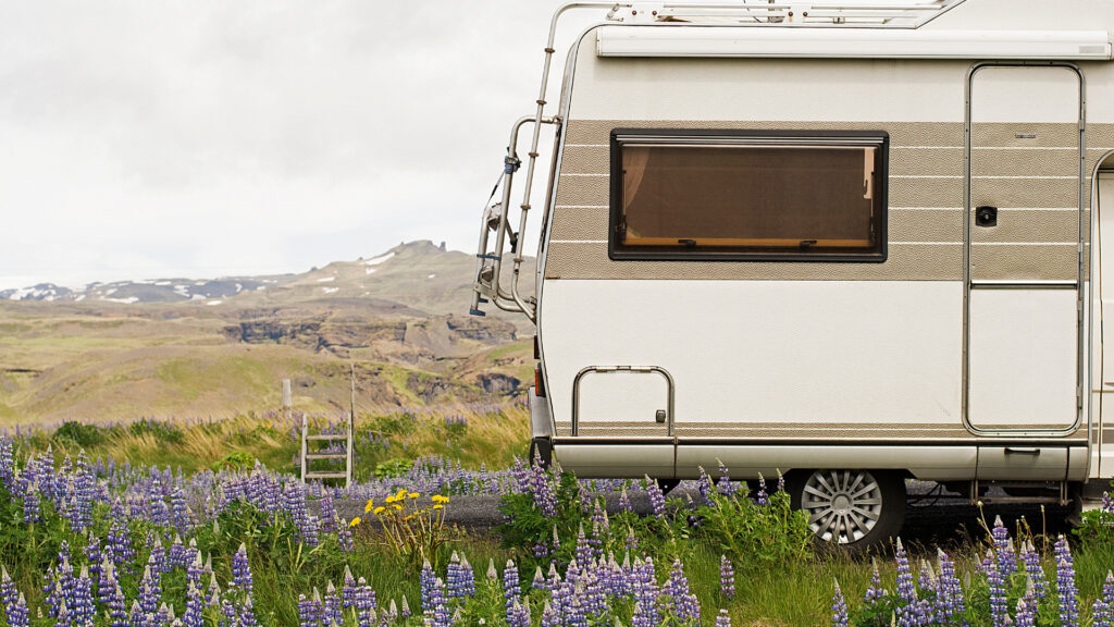 An RV parked in wildflowers that can help inspire a name for the camper.