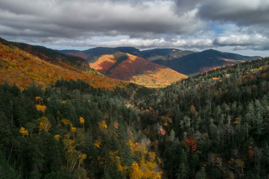 The vast forest landscape of White Mountain National Forest.