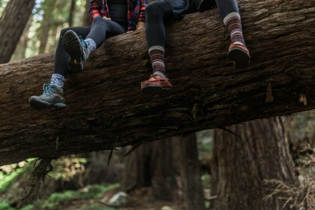 Two campers take a break from their hike through the woods in California while on a camping trip.